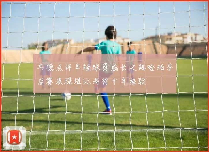韦德点评年轻球员成长之路哈珀季后赛表现堪比老将十年经验