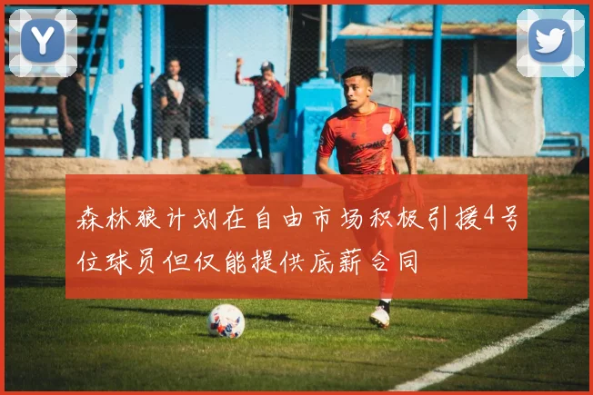 森林狼计划在自由市场积极引援4号位球员但仅能提供底薪合同